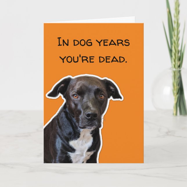 Funny Dog Lovers Birthday - In Dog Years Card (Front)