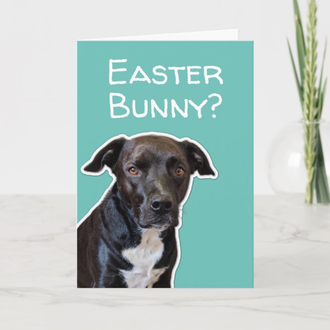 Funny Dog Lovers Easter Bunny Card (Front)