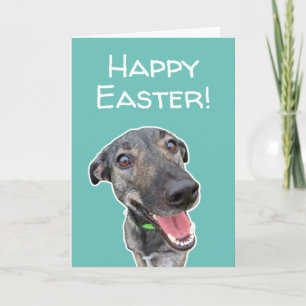 Funny Dog Lovers Easter Card