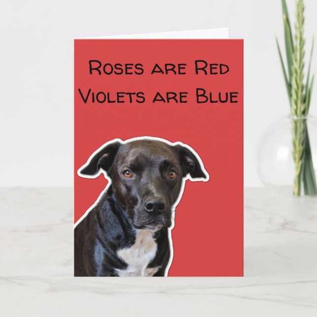 Funny Dog Lovers Valentine's Day Card (Front)