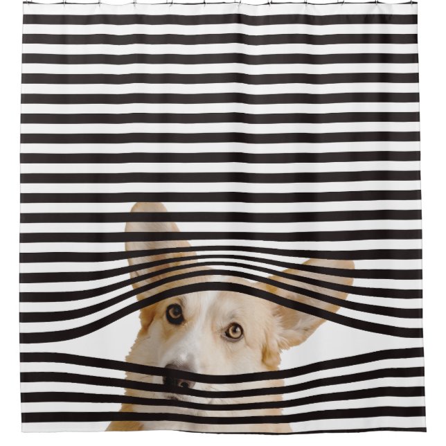 Funny dog Modern clipart stripes black and white Shower Curtain (Front)