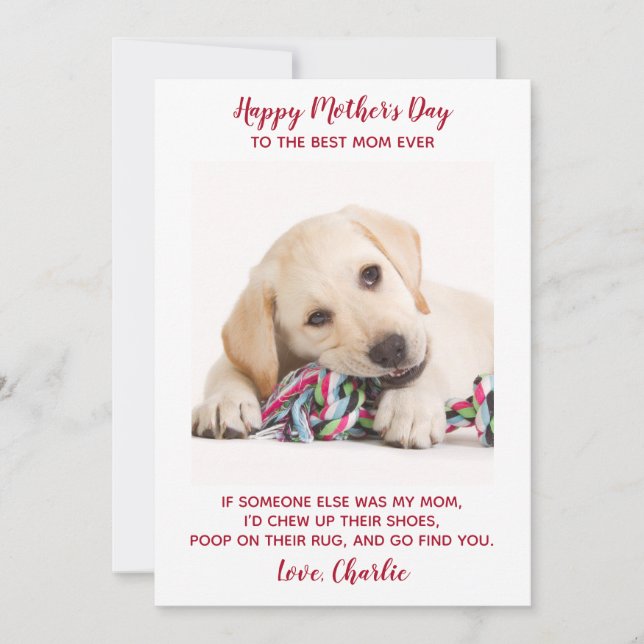 Funny Dog Mum Personalised Pet Photo Mothers Day  Holiday Card (Front)