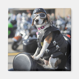 Funny dog on motorcycle photo magnet