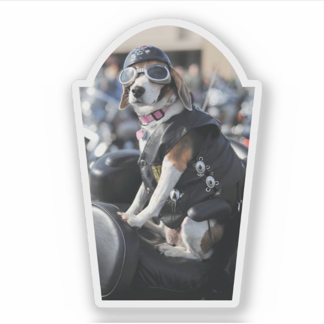 Funny dog on motorcycle with vest goggles photo (Front)