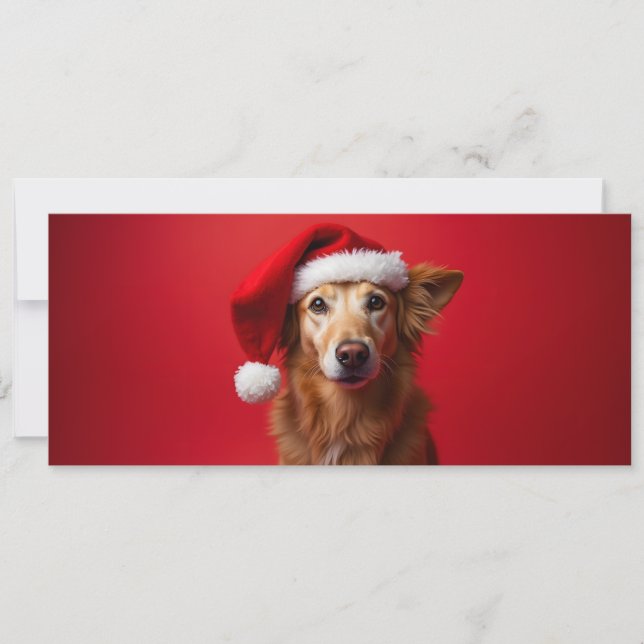Funny dog on red background (Front)