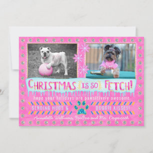 Funny Dog Pet Christmas Holiday Photo   So Fetch