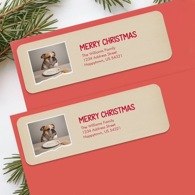  Funny Dog Pet Photo Christmas Return Address (Creator Uploaded)