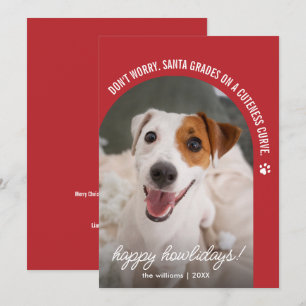 Funny Dog Photo Christmas Holiday Card
