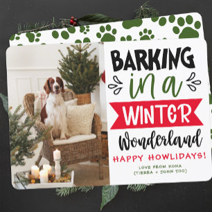 Funny Dog Photo Christmas Picture Personalised Holiday Card