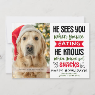 Funny Dog Photo Christmas Picture Personalized Holiday Card