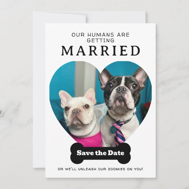 Funny Dog Photo Our Humans Are Getting Married Save The Date (Front)