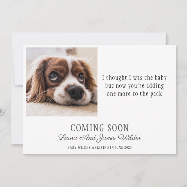 Funny Dog Photo Pregnancy Announcement (Front)