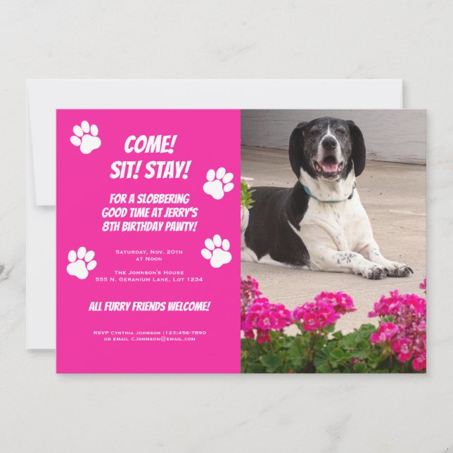 Funny Dog Photo Template Birthday Party Invitation (Front)