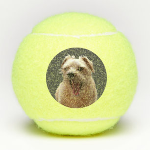 Funny Dog Photo Tennis Balls
