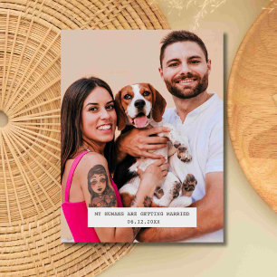 Funny Dog Photo Wedding Save the Date Announcement Postcard