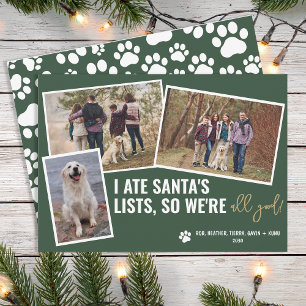 Funny Dog Pictures Personalised Christmas Photo  Holiday Card