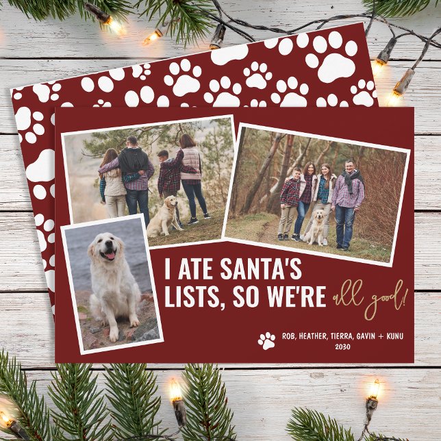 Funny Dog Pictures Personalised Christmas Photo  Holiday Card (Creator Uploaded)