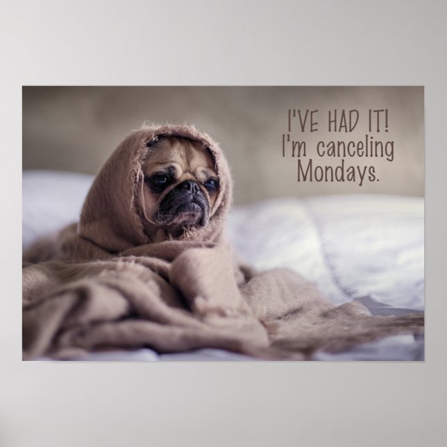 Funny Dog Poster (Front)