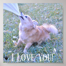 Funny Dog Pulling On Shirt Customized I Love You