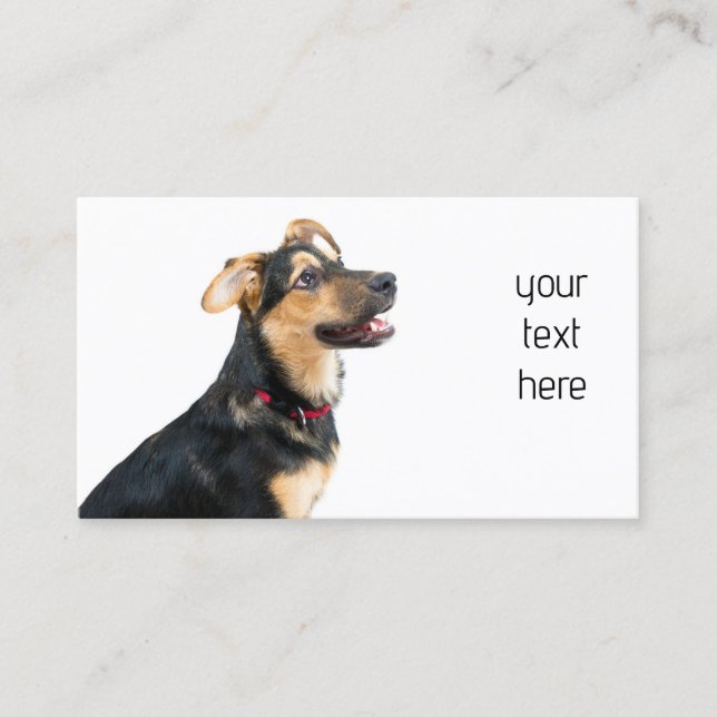 Funny dog puppy business card (Front)