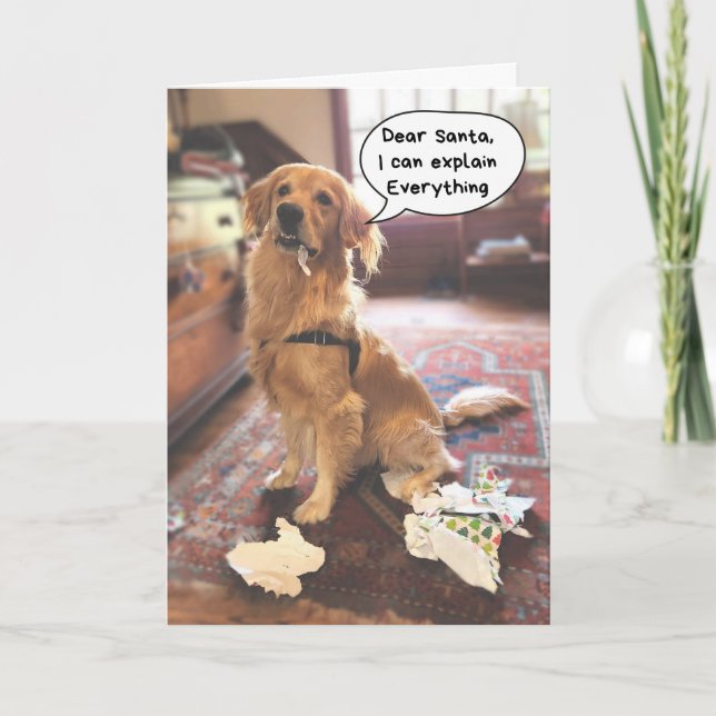 Funny Dog Santa I Can Explain Everything Christmas Card (Front)