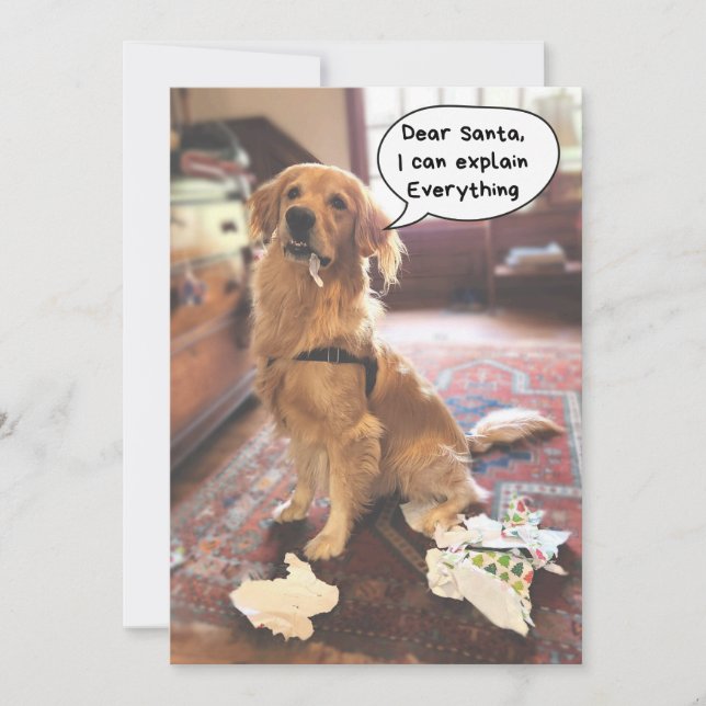 Funny Dog Santa I Can Explain Everything Christmas Holiday Card (Front)