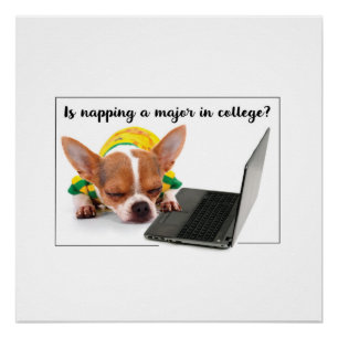Funny Dog Sleeping on Laptop Computer Poster