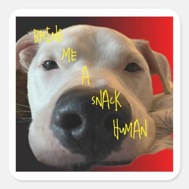 FUNNY DOG STICKER (Front)