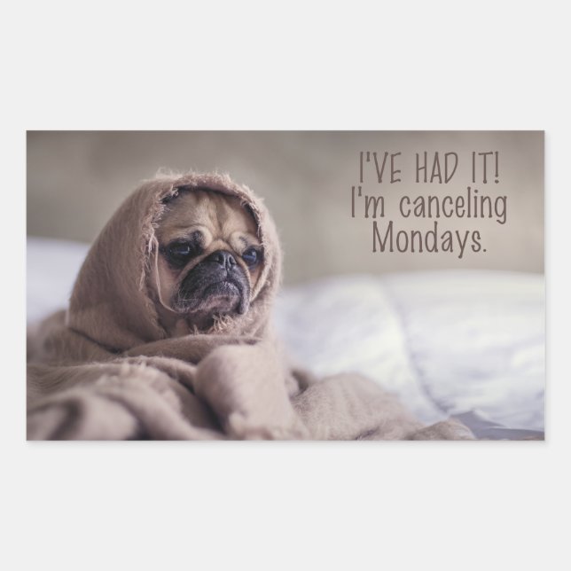 Funny Dog stickers (Front)