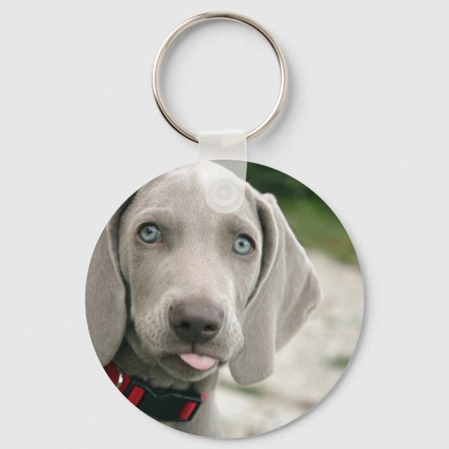 Funny Dog Sticking Tongue Out Photo Key Ring (Front)