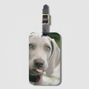 Funny Dog Sticking Tongue Out Photo Luggage Tag