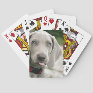 Funny Dog Sticking Tongue Out Photo Playing Cards