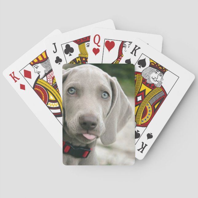 Funny Dog Sticking Tongue Out Photo Playing Cards (Back)