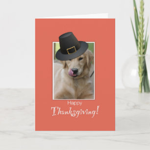 Funny Dog Thanksgiving, Humourous Wearing Pilgrim  Holiday Card
