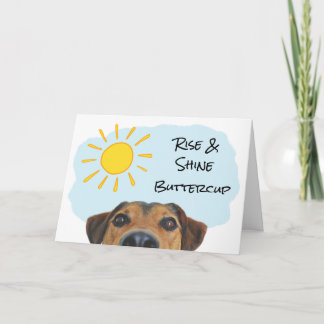 Funny Dog Theme Add a Name Happy Birthday Card
