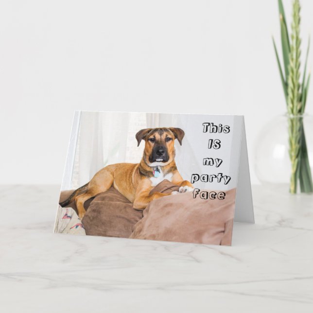 Funny Dog This is My Party Face Birthday Card (Front)
