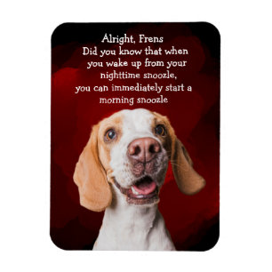 Funny dog thought magnet