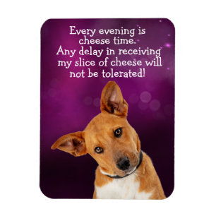 Funny dog thought magnet