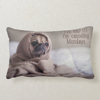 Custom Funny Dog Throw Cushions Zazzle.co.uk