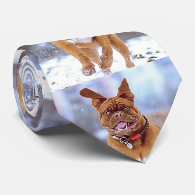 Funny Dog Tie (Rolled)