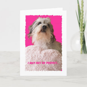 Funny Dog Valentine -- All Yours Valentine Holiday Card
