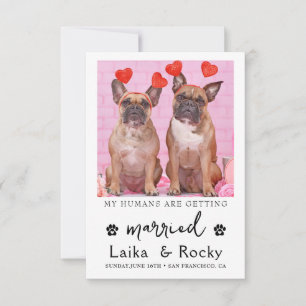 Funny Dog Wedding Invitation