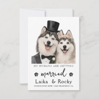 Funny Dog Wedding Invitation