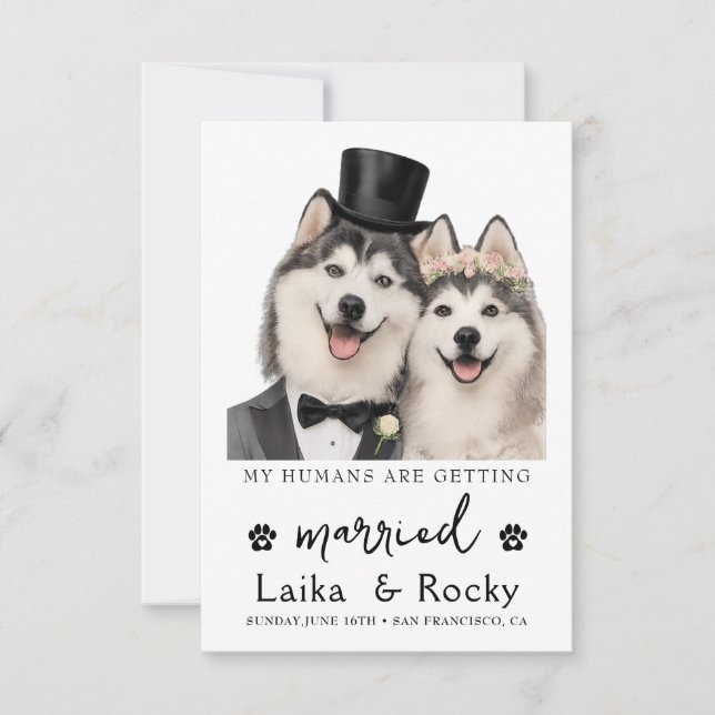 Funny Dog Wedding Invitation (Front)