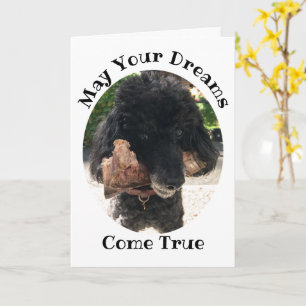 Funny Dog with a Bone Birthday Card