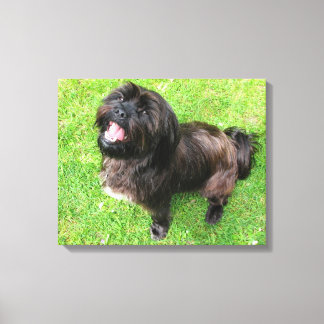 Funny dog with attitude! canvas print
