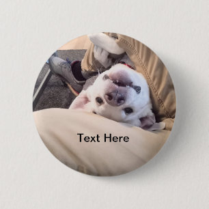 Funny Dog Won't Be Ignored Comical Photo 6 Cm Round Badge