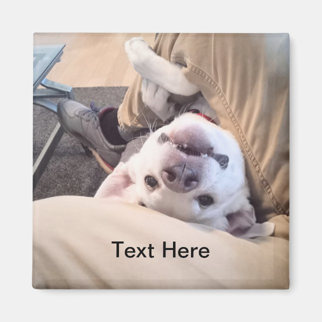 Funny Dog Won't Be Ignored Comical Photo Magnet (Front)