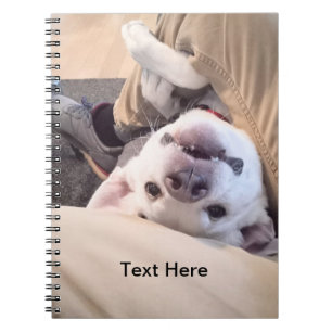 Funny Dog Won't Be Ignored Comical Photo Notebook
