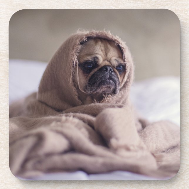 Funny doggy coaster (Front)